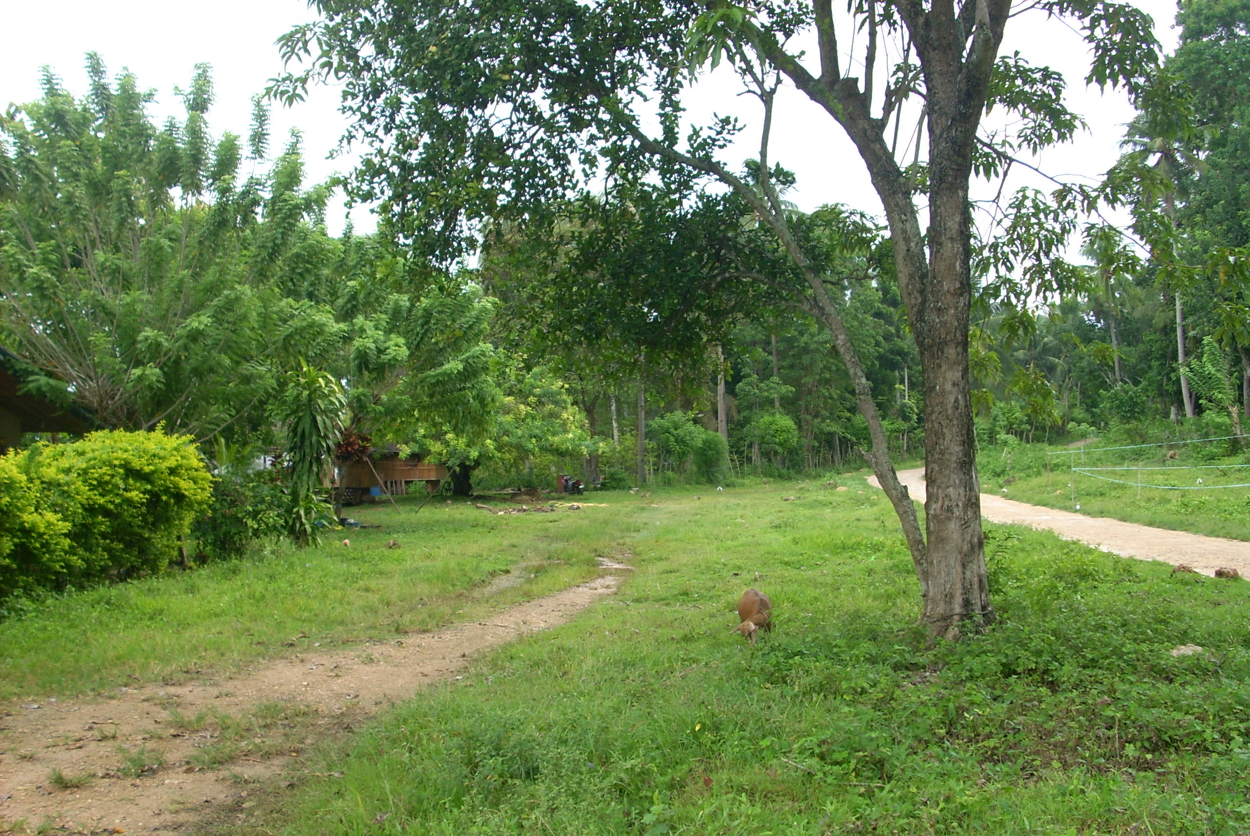 Limao  Residential Lots with common beach