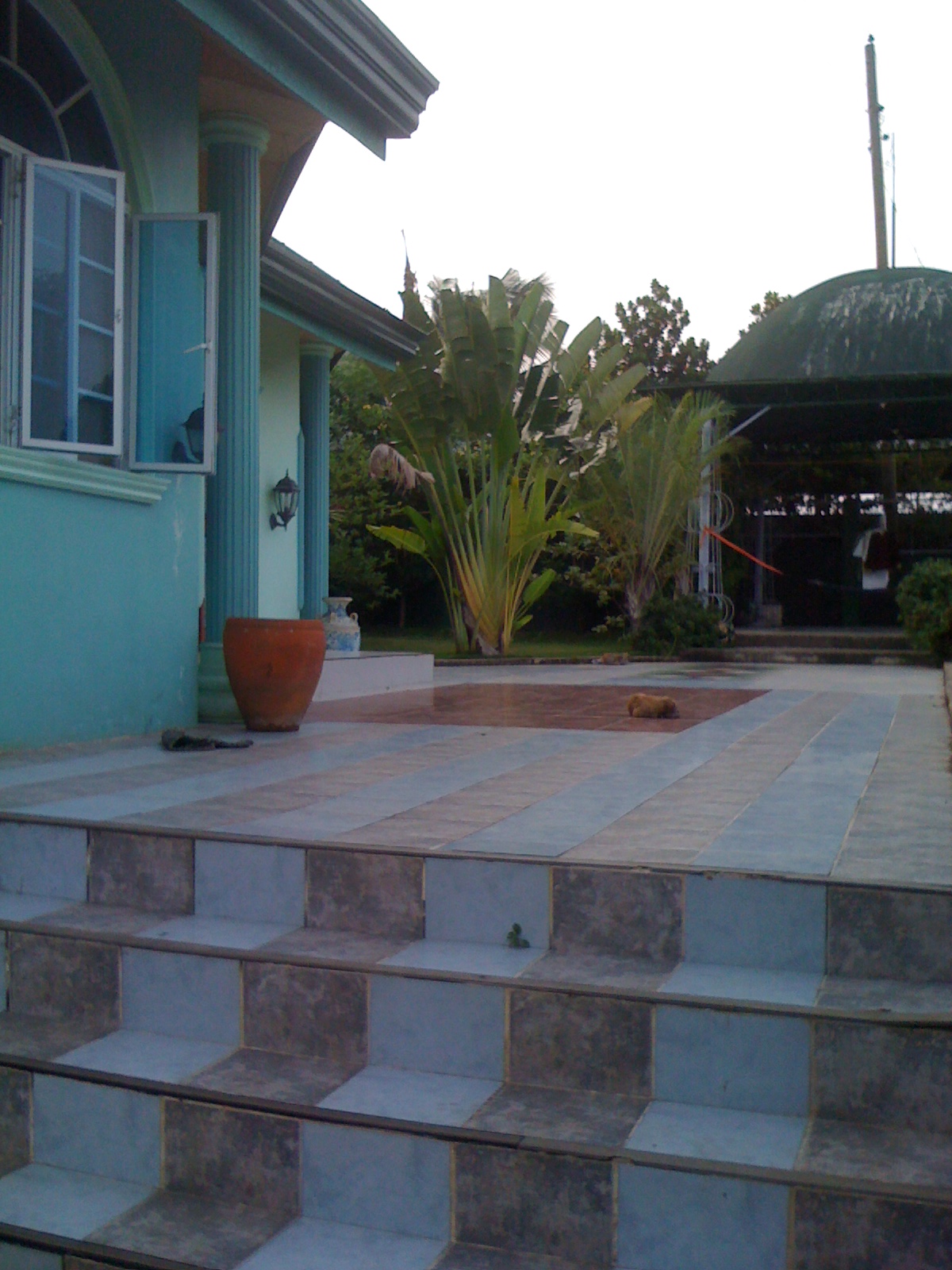 FOR SALE: House Cebu > Other areas 1