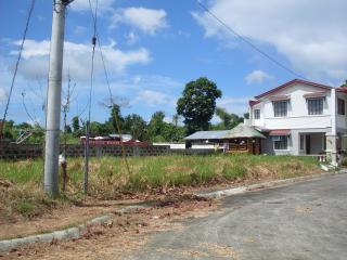 FOR SALE: Lot / Land / Farm Laguna > Calamba 2