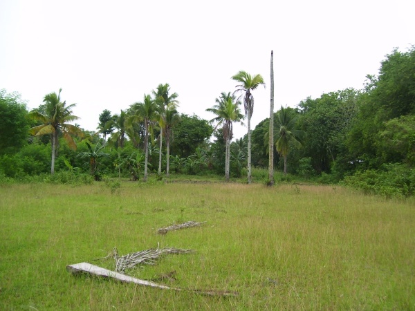 FOR SALE: Lot / Land / Farm Davao del Sur > Samal