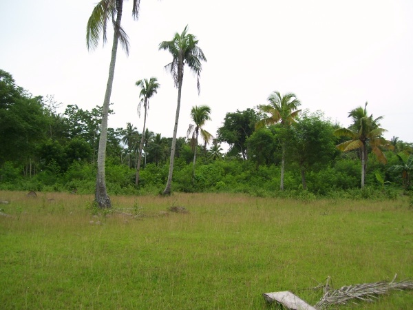 FOR SALE: Lot / Land / Farm Davao del Sur > Samal 1