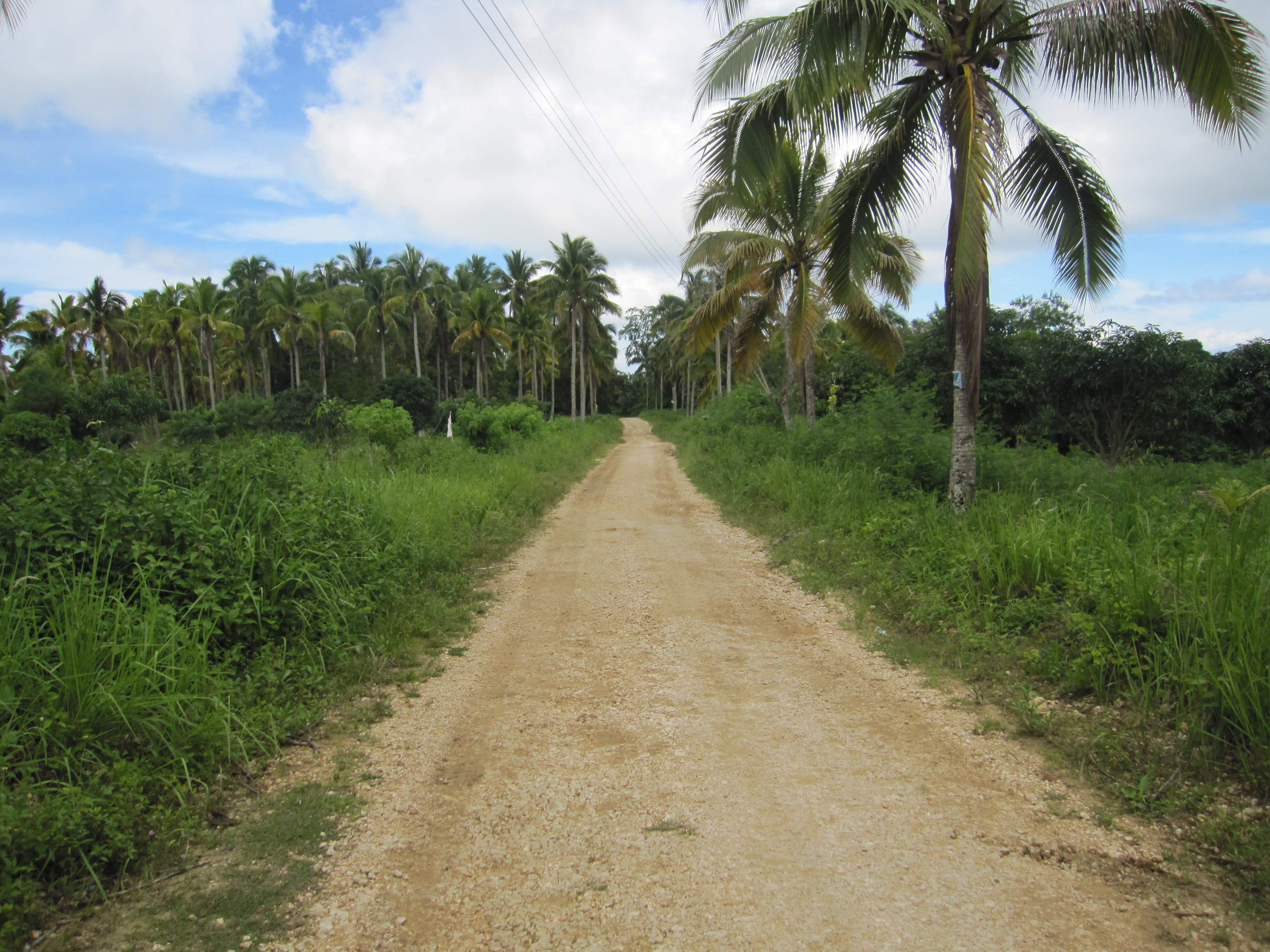 ALONG THE ROAD