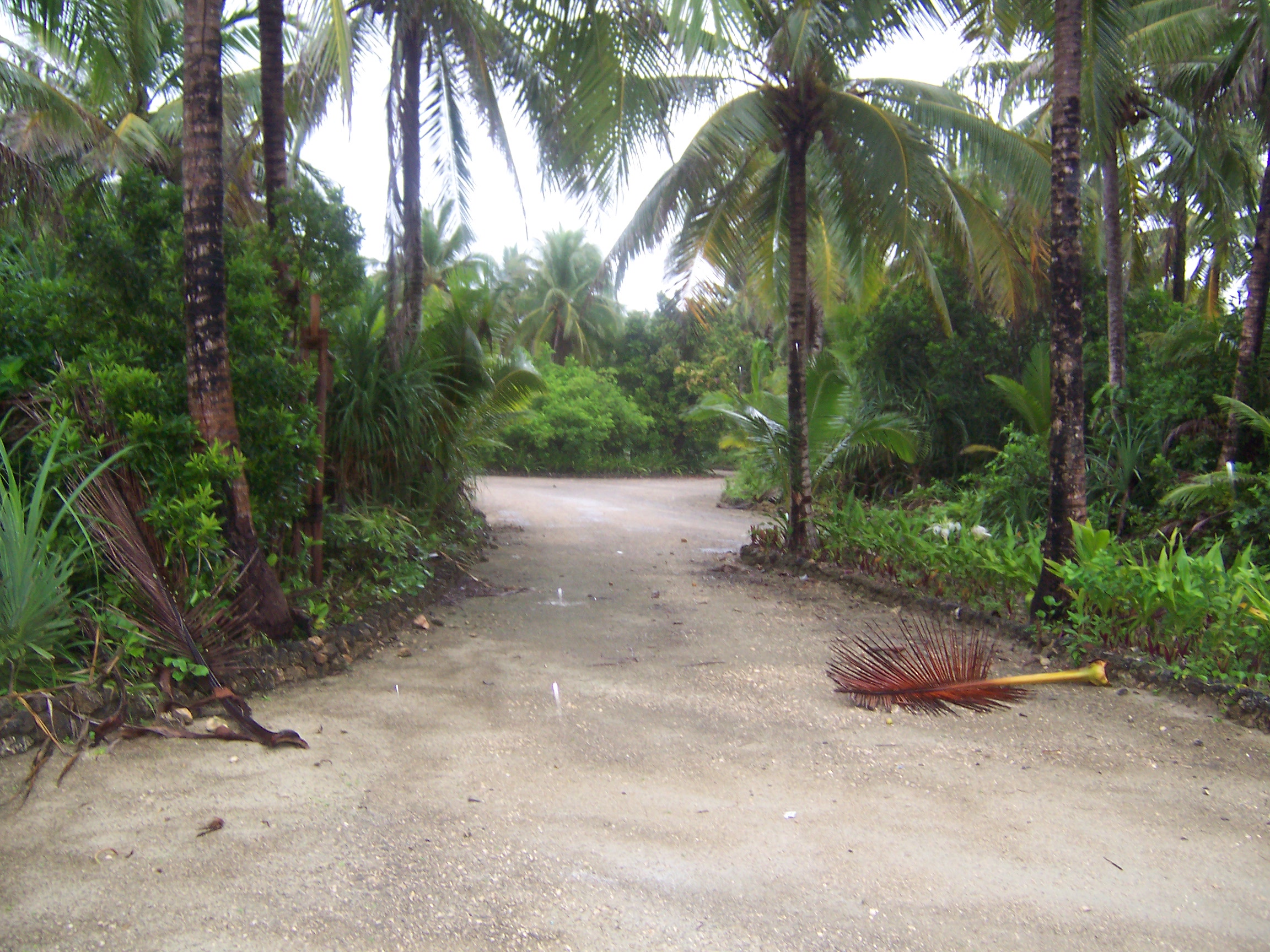 beach front