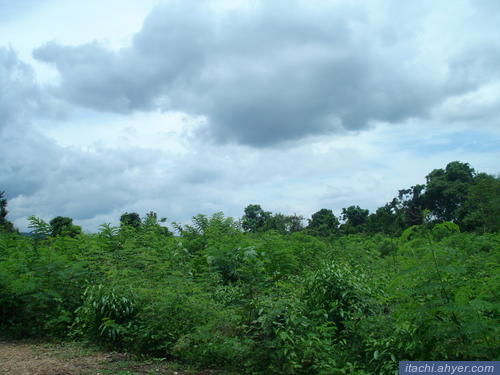 FOR SALE: Lot / Land / Farm La Union 7