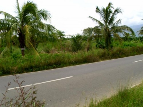 Lot For Sale in Infanta, Quezon