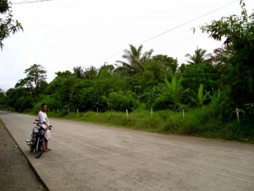 Beach Lot For Sale in Infanta, Quezon