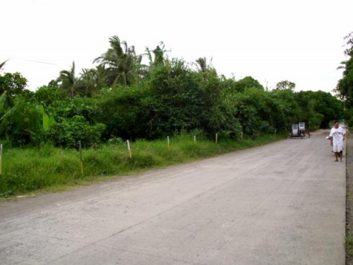 Beach Lot For Sale in Infanta, Quezon