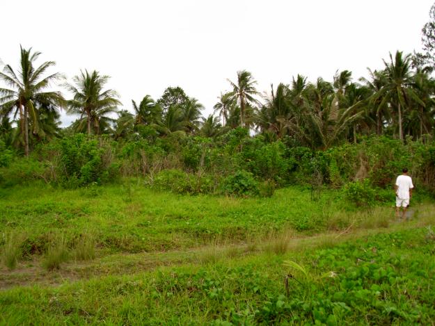 Beach Lot For Sale in Infanta, Quezon