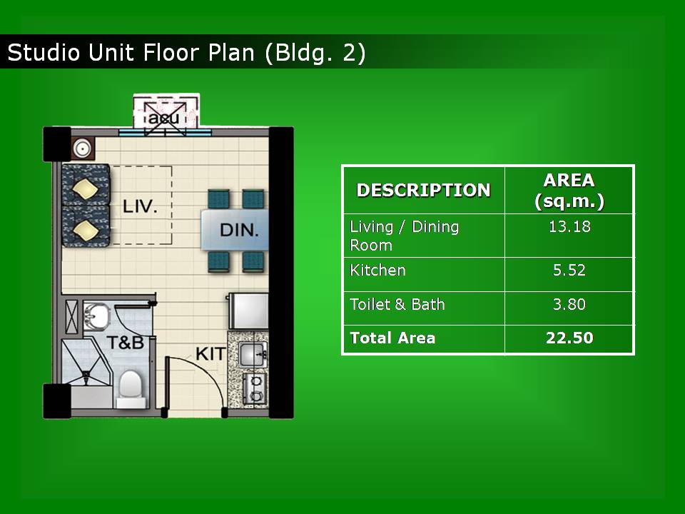 FOR SALE: Apartment / Condo / Townhouse Manila Metropolitan Area > Paranaque 11