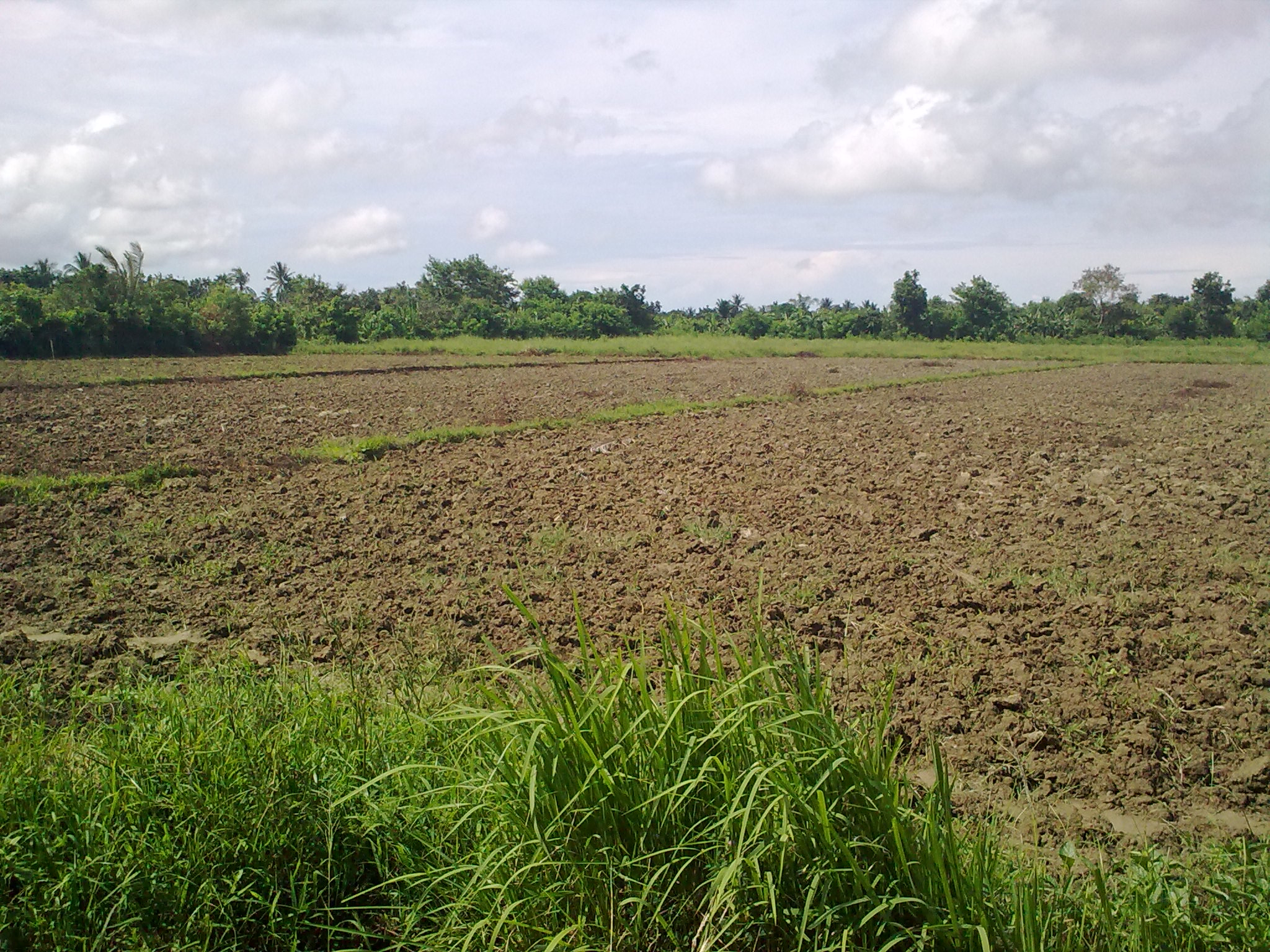 FOR SALE: Lot / Land / Farm Mindoro Oriental