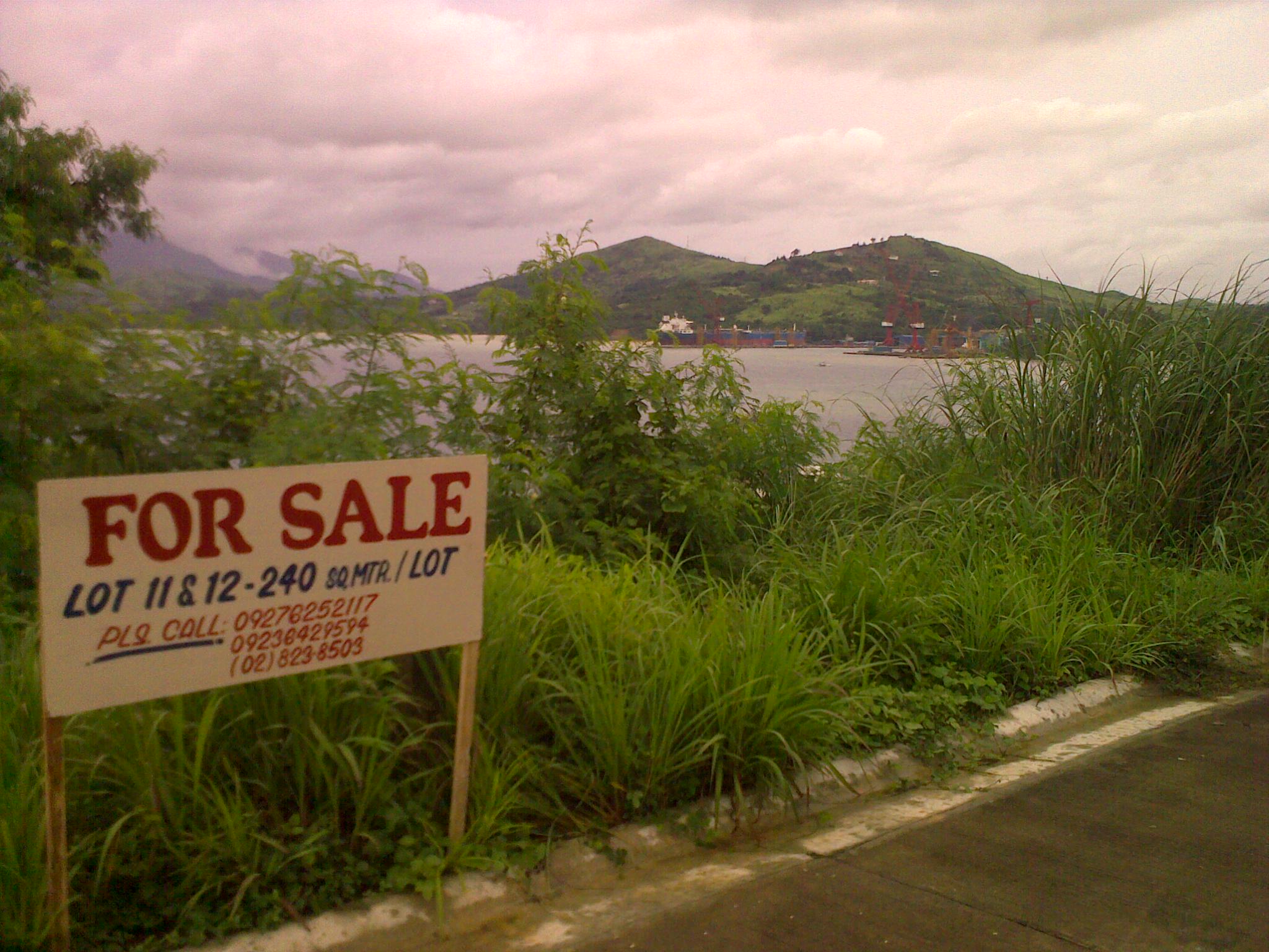 FOR SALE: Lot / Land / Farm Zambales > Olongapo 2