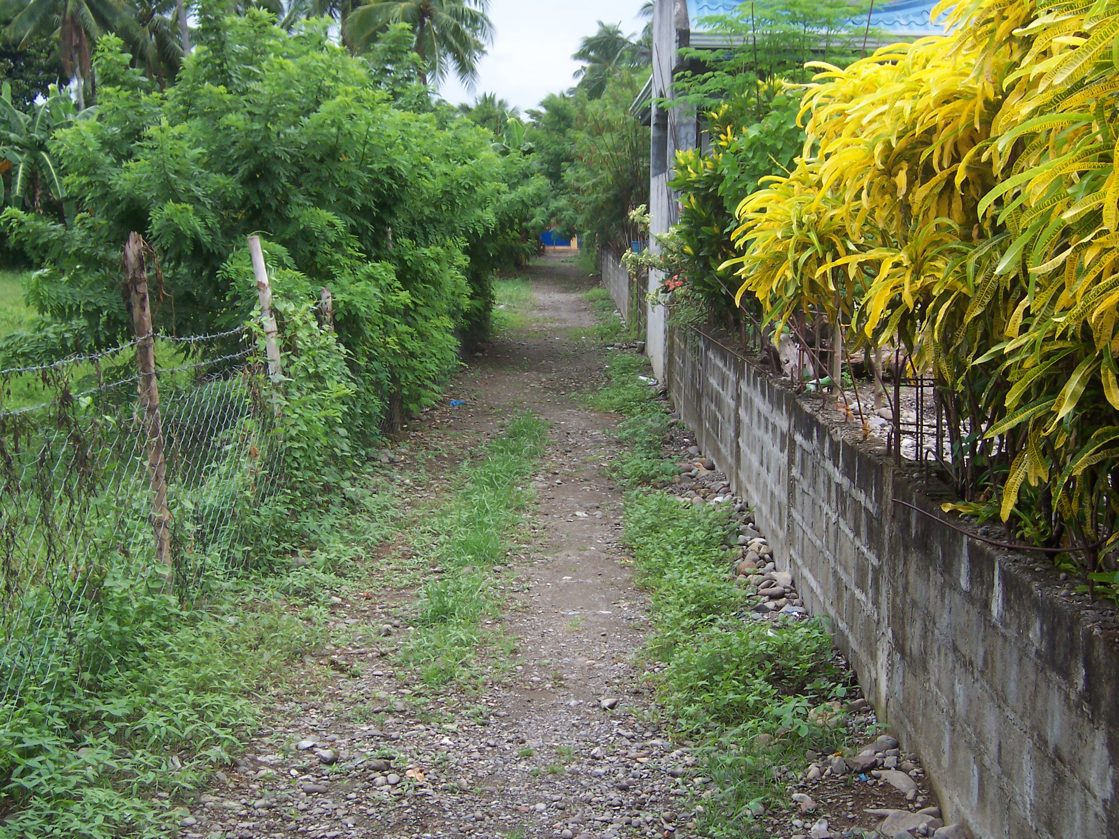 bungalou house