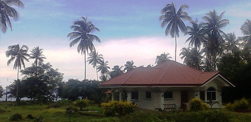 front view of the house