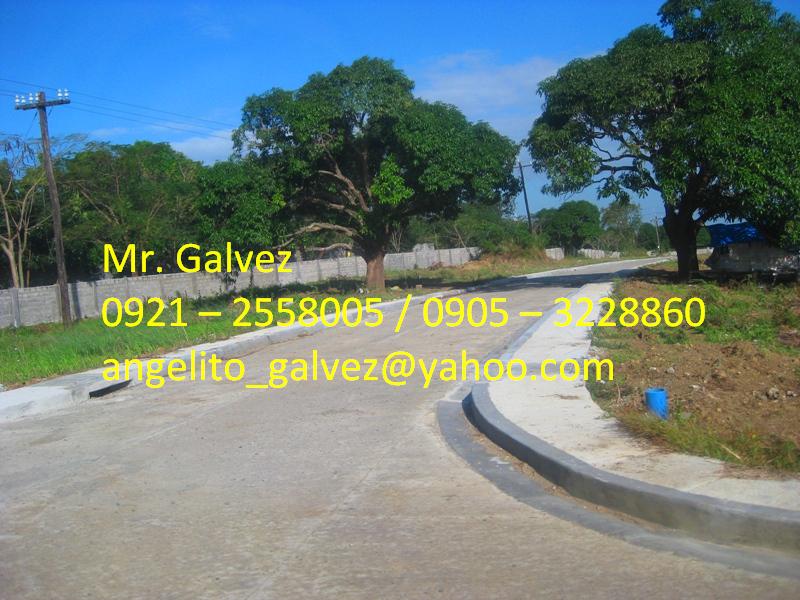 FOR SALE: Lot / Land / Farm Cavite > Dasmarinas 1