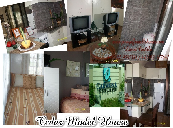 MODEL HOUSE PICS