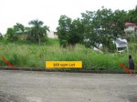 FOR SALE: Lot / Land / Farm Cebu 1