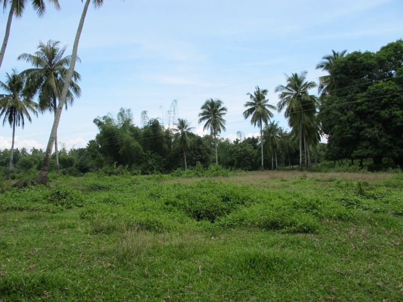 FOR SALE: Lot / Land / Farm Davao >Davao City