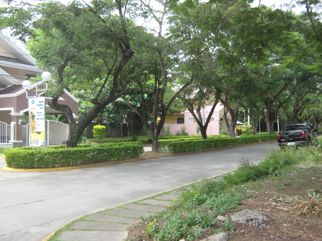 FOR SALE: Lot / Land / Farm Davao >Davao City 3