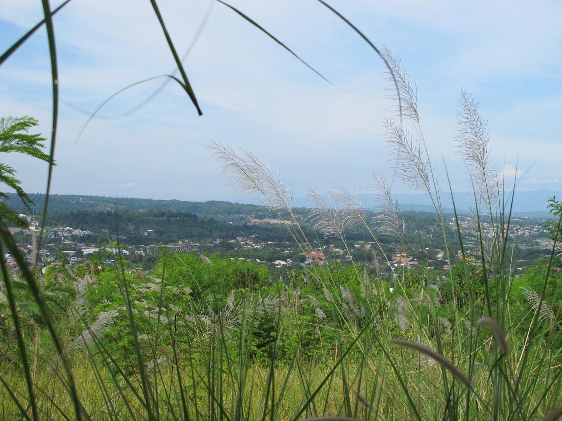 FOR SALE: Lot / Land / Farm Davao >Davao City