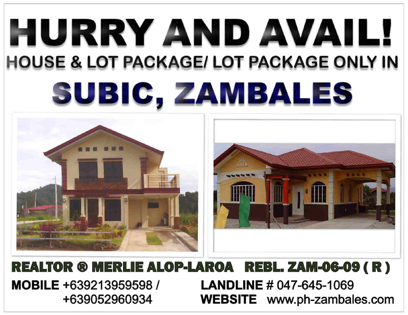 FOR SALE: House Zambales