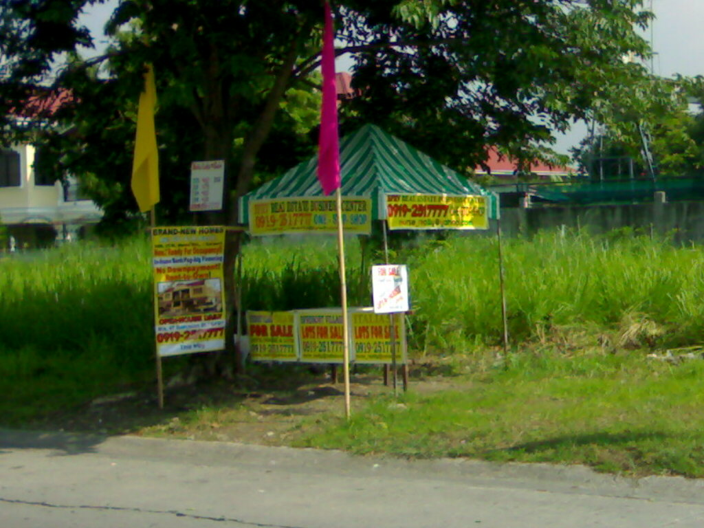 FOR SALE: Lot / Land / Farm Manila Metropolitan Area > Las Pinas 1