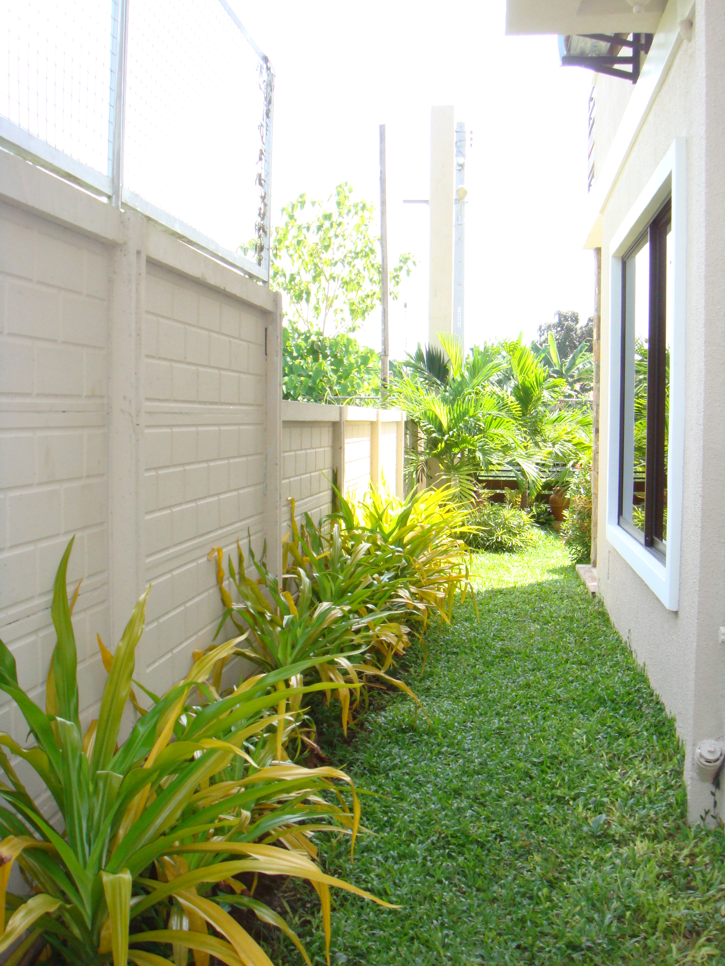 FOR SALE: House Cebu > Cebu City 2