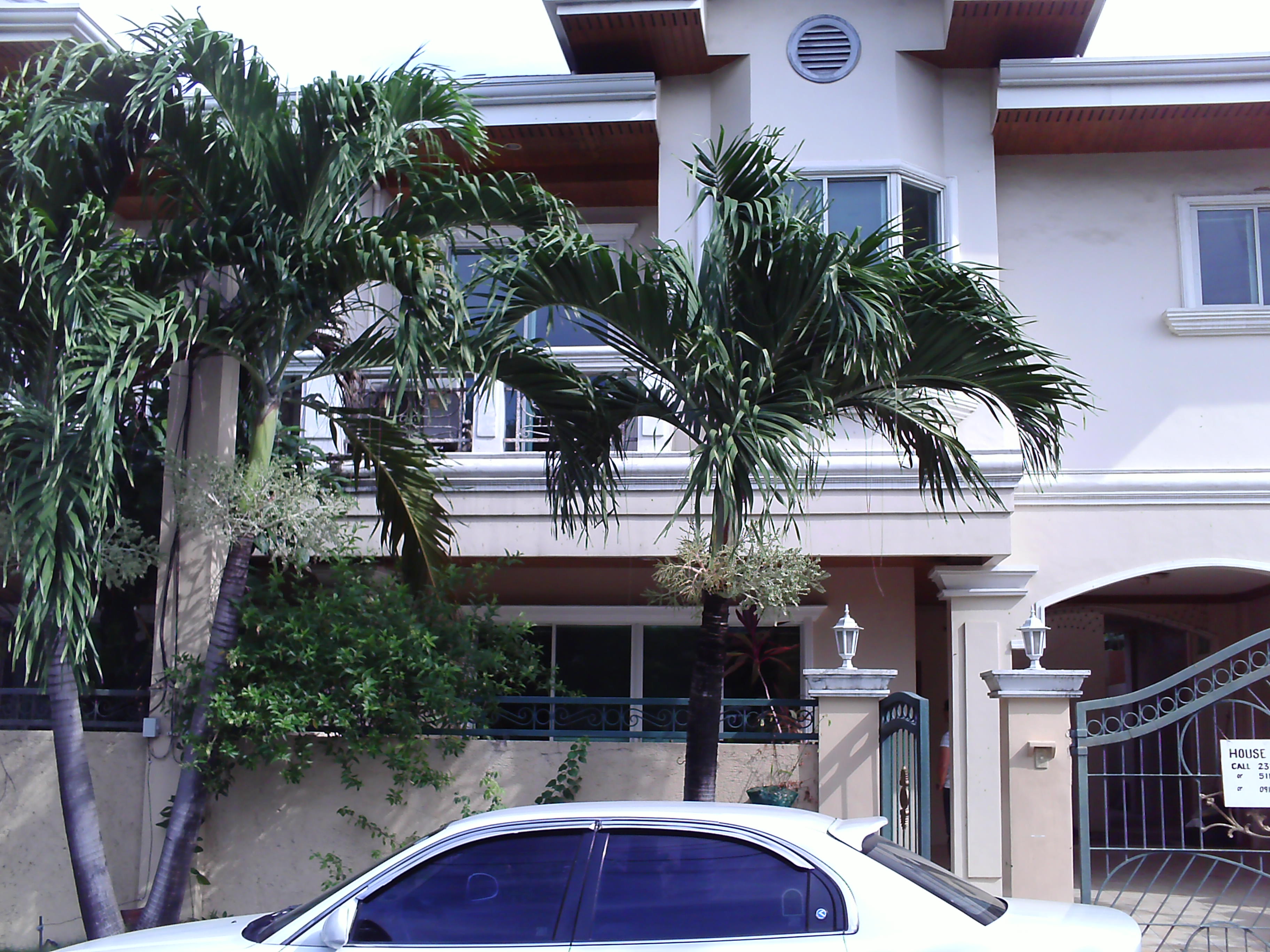 FOR RENT / LEASE: House Cebu > Cebu City