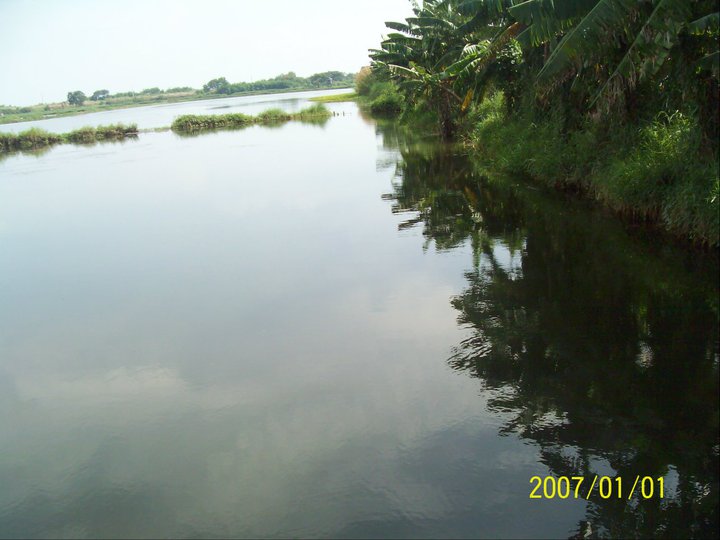 Fishpond2