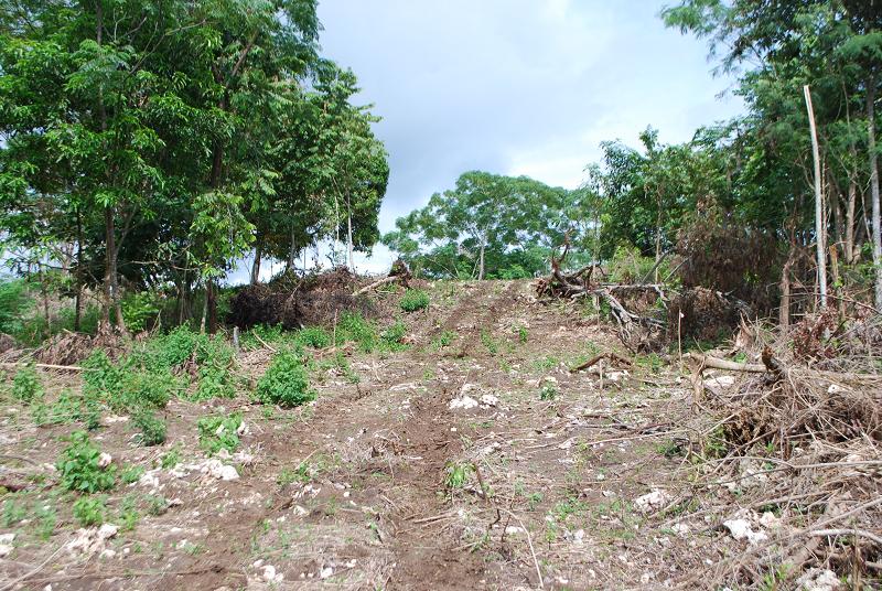 FOR SALE: Lot / Land / Farm Davao del Sur > Samal