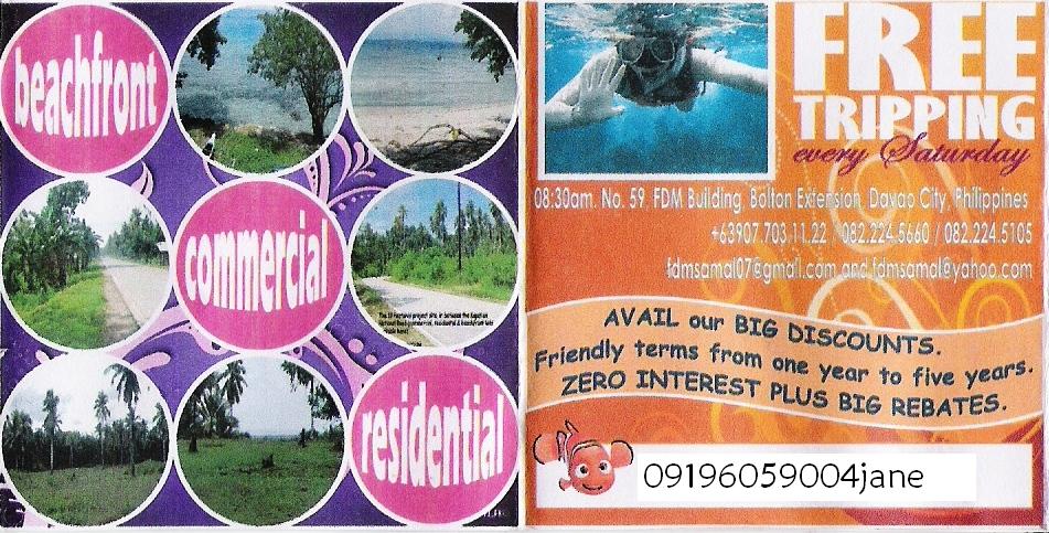 FOR SALE: Office / Commercial / Industrial Davao del Sur > Samal