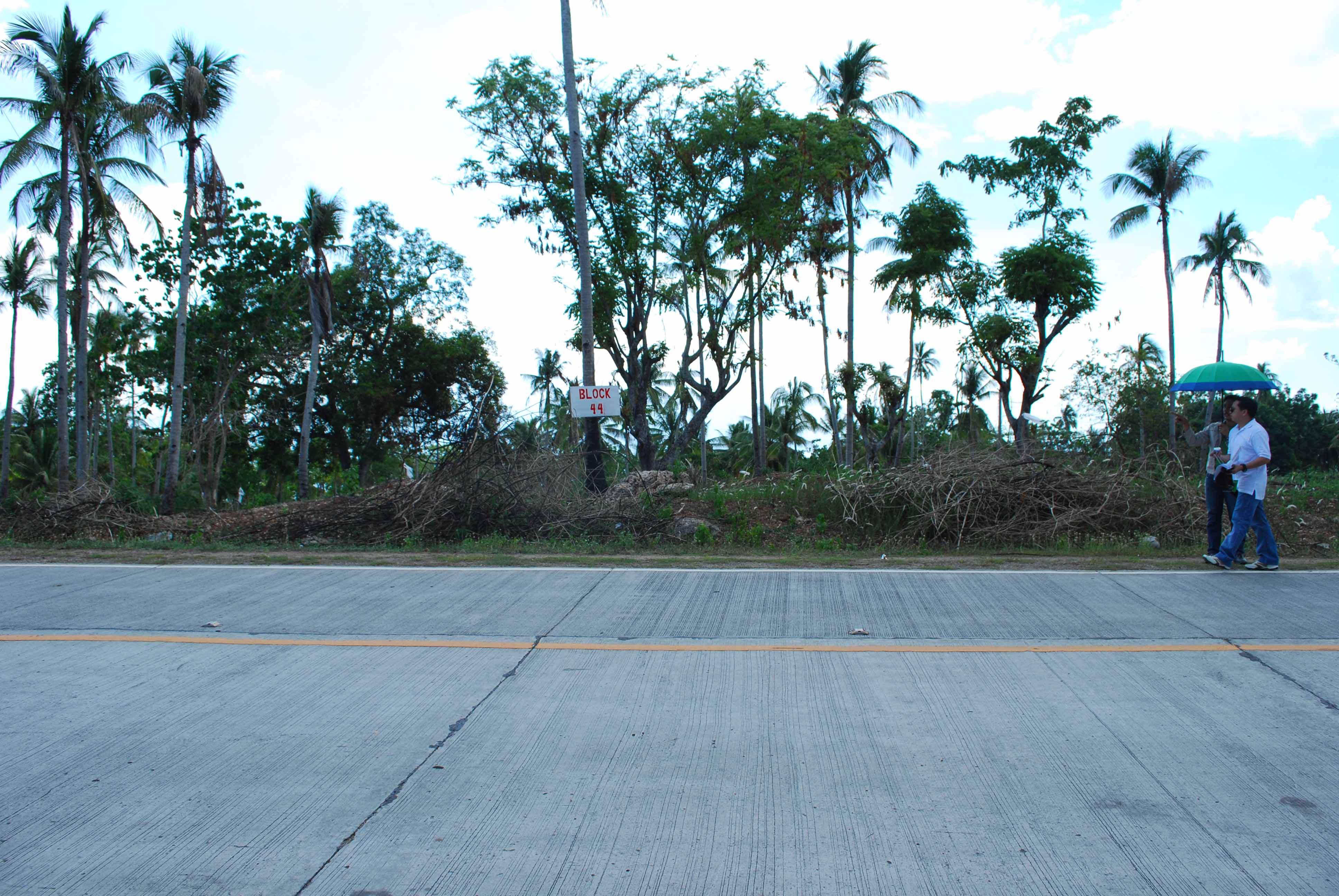 FOR SALE: Office / Commercial / Industrial Davao del Sur > Samal