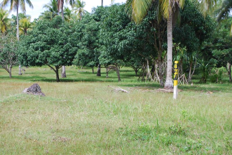 FOR SALE: Lot / Land / Farm Davao del Sur > Samal