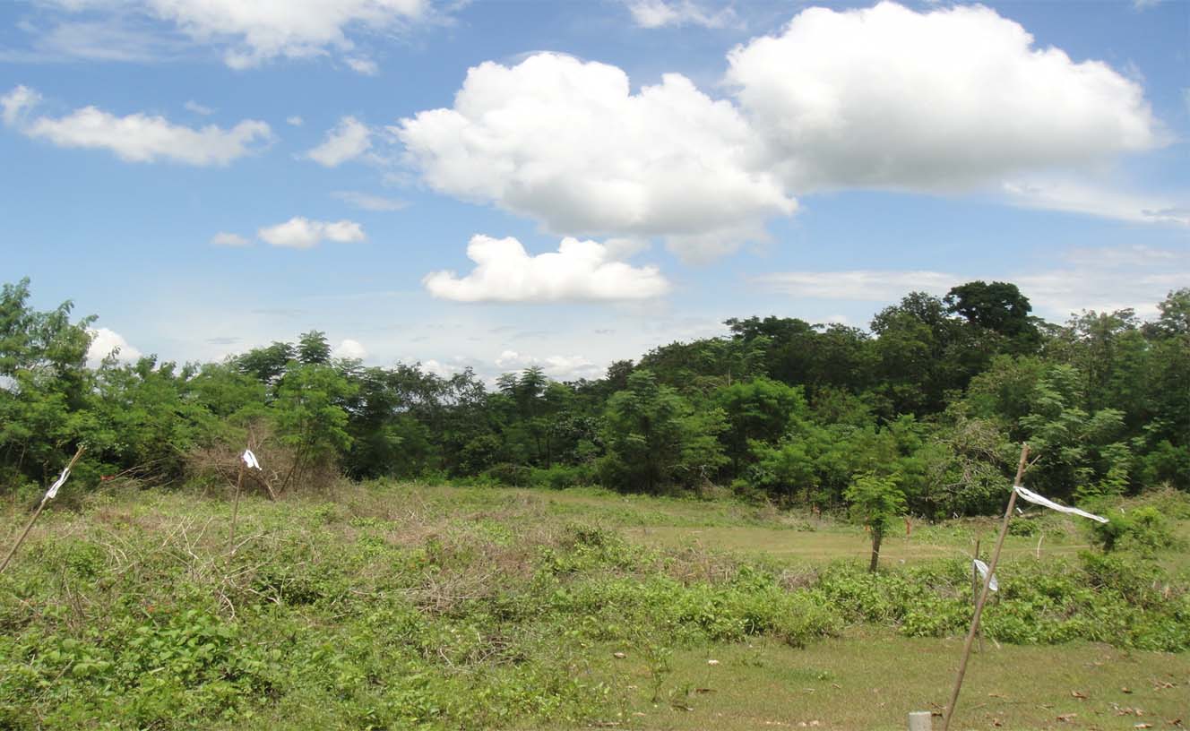 FOR SALE: Lot / Land / Farm Davao >Davao City 1