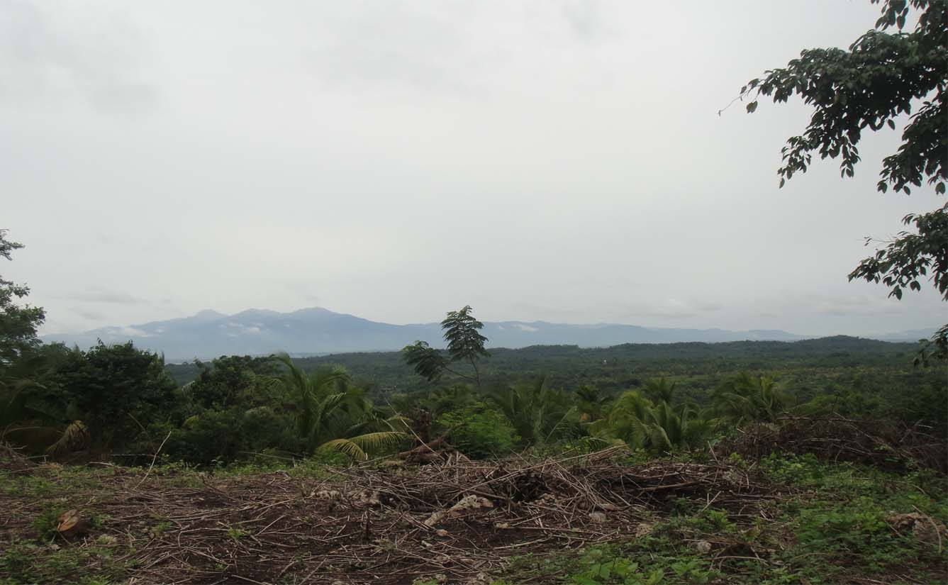 FOR SALE: Lot / Land / Farm Davao >Davao City