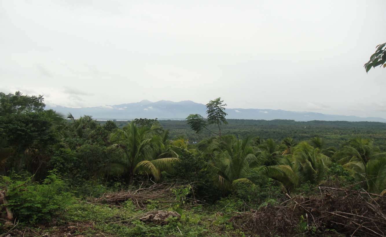 FOR SALE: Lot / Land / Farm Davao >Davao City 1