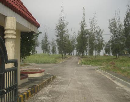 FOR SALE: Lot / Land / Farm Cavite 3