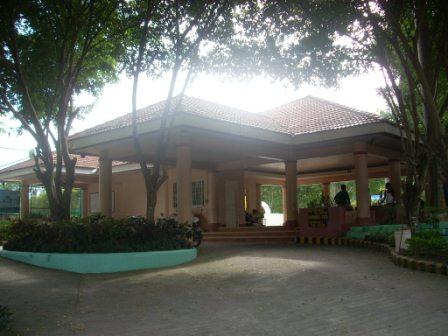 FOR SALE: Lot / Land / Farm Cebu 3