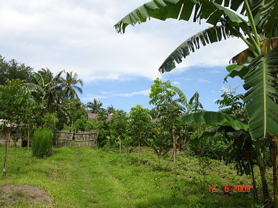 Farm photo