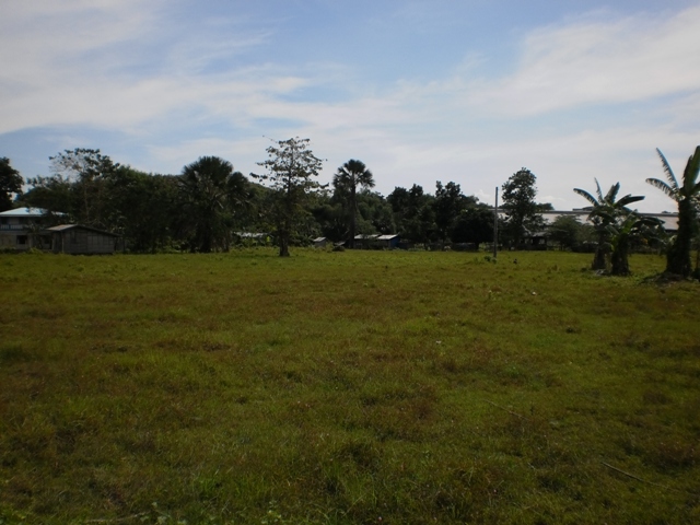 1.8 HECTARES @ SAN VICENTE