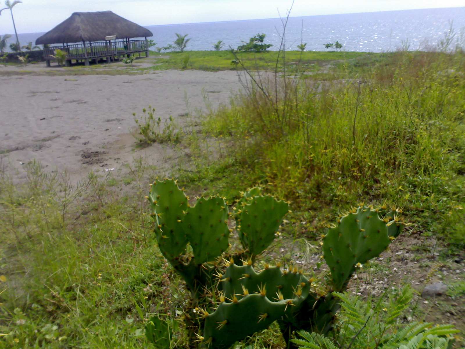 FOR SALE: Beach / Resort La Union