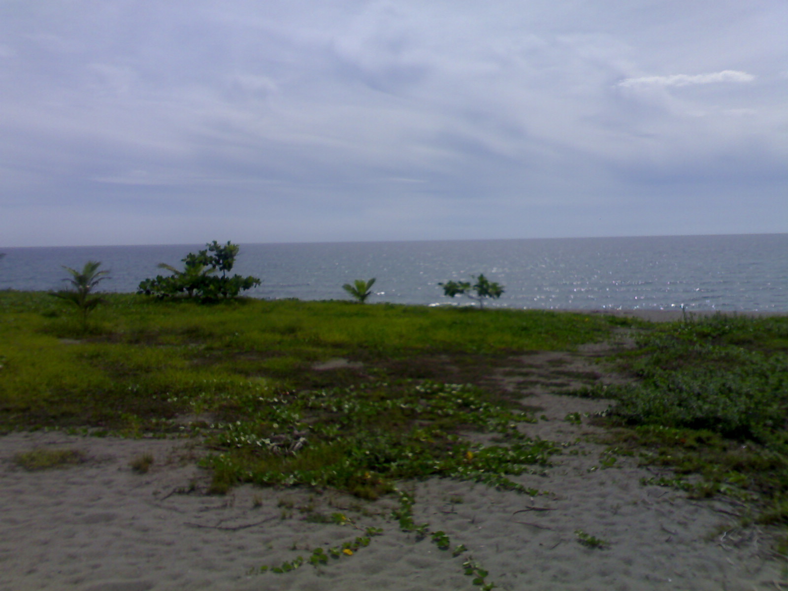 FOR SALE: Beach / Resort La Union 1