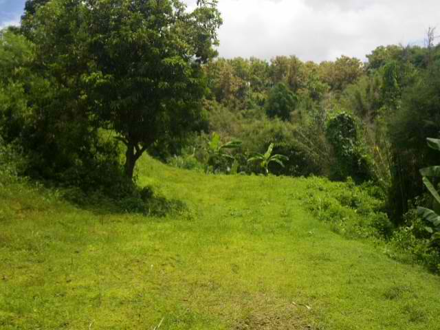 FOR SALE: Lot / Land / Farm La Union 3