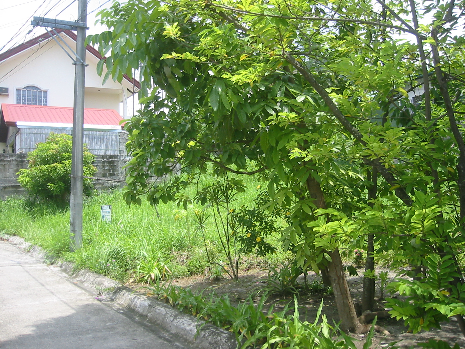 Vacant Lot gated subdivision