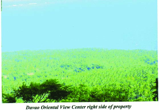 FOR SALE: Lot / Land / Farm Davao >Davao City 1