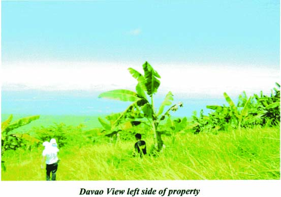 FOR SALE: Lot / Land / Farm Davao >Davao City 2