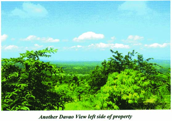 FOR SALE: Lot / Land / Farm Davao >Davao City 4