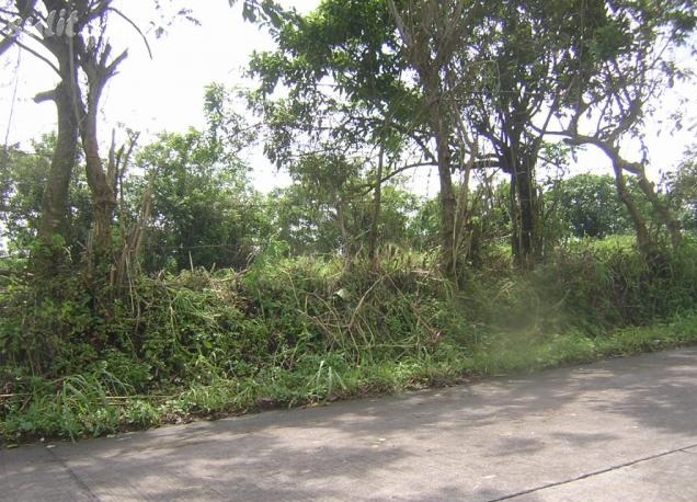 FOR SALE: Lot / Land / Farm Tagaytay 2