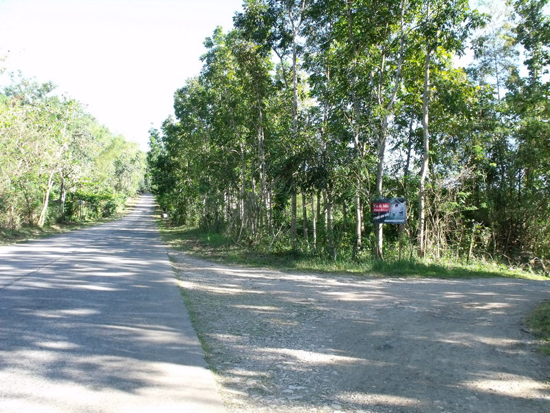 Pinagsabiran farm, it is along Marcos Highway going to Infanta, Quezon