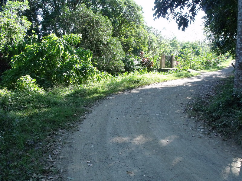 Pinagsabiran farm - road to the farm just 150 sqm. from Marcos Highway