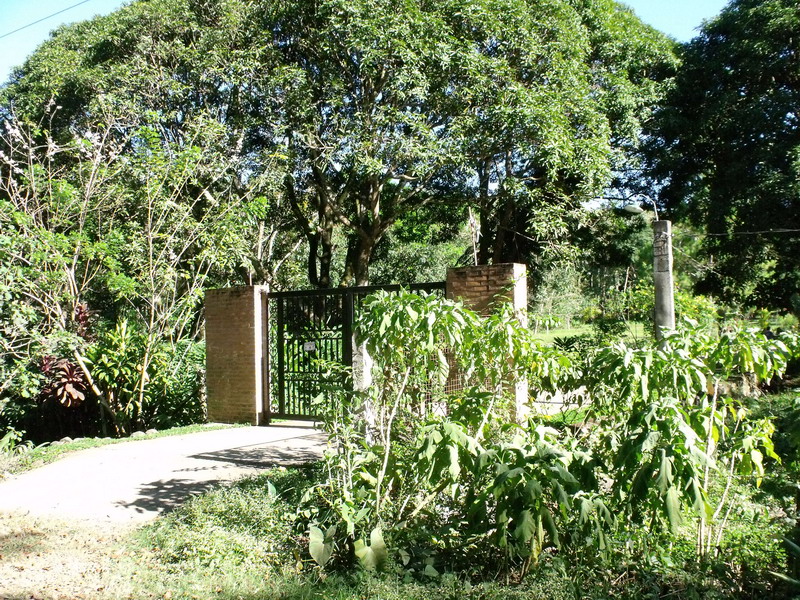 Pinagsabiran farm - the farm is beside Mo Yo private resort. The farm has electric post and water.